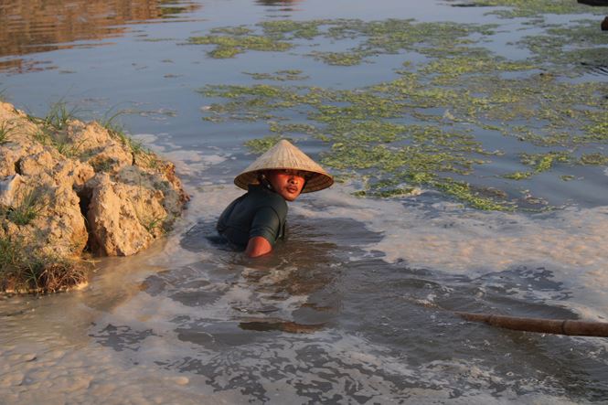 Bất lực nhìn ốc hương chết hàng loạt, dân nguy cơ mất trắng tiền tỷ - ảnh 6