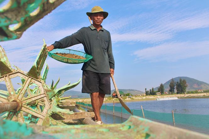 Bất lực nhìn ốc hương chết hàng loạt, dân nguy cơ mất trắng tiền tỷ - ảnh 8
