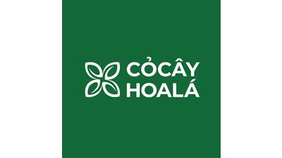 <a href="/thuong-hieu-manh" title="Thương hiệu mạnh" rel="dofollow">Thương hiệu mạnh</a>