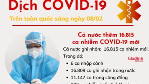 Sáng 08/02: Số ca tử vong giảm sâu, TP Hồ Chí Minh có 76 ca mắc mới