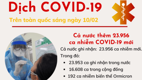 Sáng 10/02: Hôm nay, cả nước có 69.825 bệnh nhân được công bố khỏi bệnh