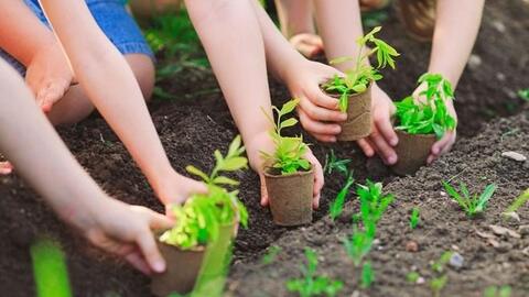 Bảo vệ môi trường, bảo vệ sức khỏe người dân là mục tiêu hàng đầu