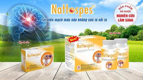 Phòng ngừa cục máu đông gây đột quỵ não từ sản phẩm thiên nhiên