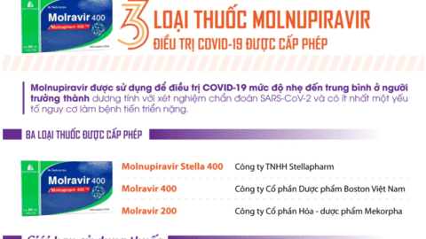 3 loại thuốc molnupiravir điều trị COVID-19 được cấp phép