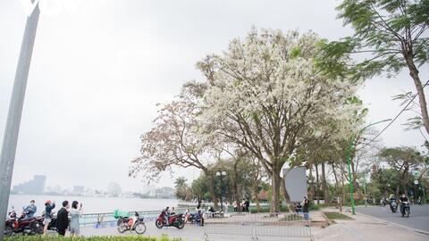 Dự báo thời tiết ngày 21/3: Bắc Bộ trời nắng, trong ngày có mưa vài nơi