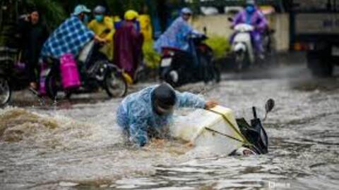 Mưa lũ lớn ở Bắc bộ: Ba người thiệt mạng, gần 10.000 cây trồng bị ngập úng