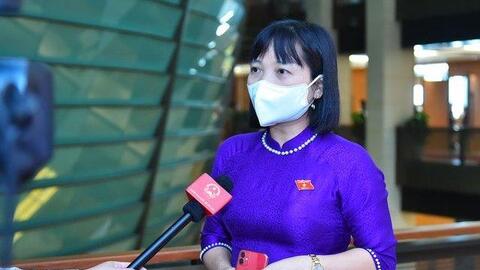 Bạo lực học đường: Nỗi trăn trở của xã hội