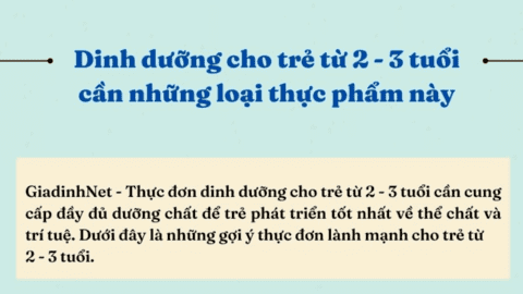 Thực đơn dinh dưỡng cho trẻ từ 2 – 3 tuổi