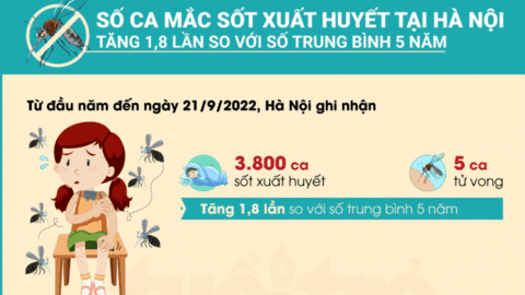 Hà Nội ghi nhận 3.800 ca mắc sốt xuất huyết, 5 người đã tử vong