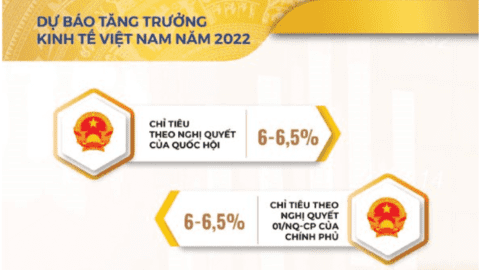 Các tổ chức tài chính, ngân hàng dự báo tăng trưởng kinh tế của Việt Nam ra sao?