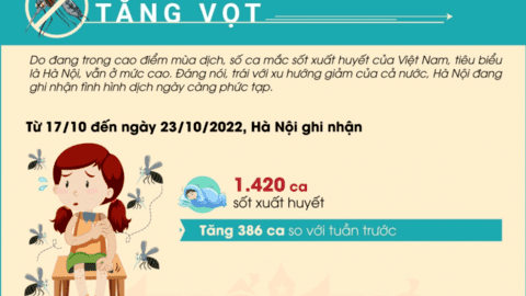 Số ca mắc sốt xuất huyết tại Hà Nội tăng vọt
