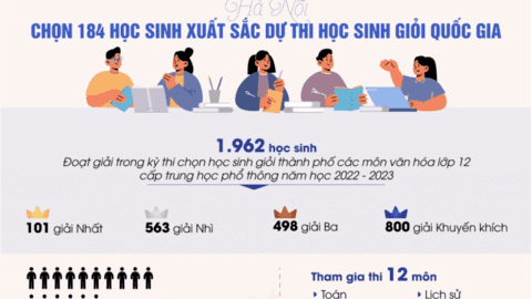 Hà Nội chọn 184 học sinh xuất sắc dự thi học sinh giỏi quốc gia