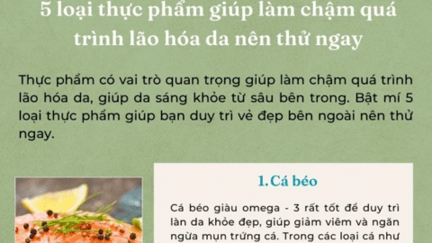 5 loại thực phẩm giúp làm chậm quá trình lão hóa da nên thử ngay