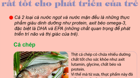 Muốn trẻ tăng chiều cao cùng chỉ số IQ, các mẹ đừng nên bỏ qua 5 loại cá này