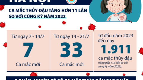 Hà Nội: Ca mắc thủy đậu tăng hơn 11 lần so với cùng kỳ năm 2022