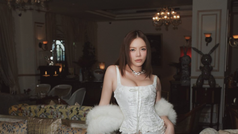 Lý Nhã Kỳ phải mua 5 cái két sắt để chứa hết kim cương trong nhà