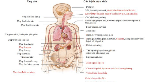 Bộ GD&ĐT đưa phòng chống tác hại thuốc lá vào giáo dục cấp THPT