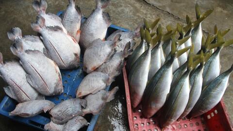 Thơm lừng làng nghề cá nướng ngày giáp Tết