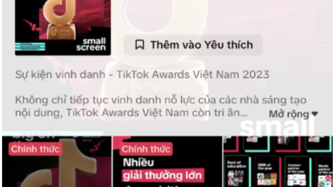 Những xu hướng hàng đầu tháng 11 - 12/2023 trên TikTok