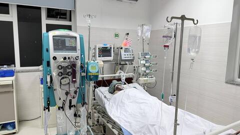 Người đàn ông 36 tuổi suy đa tạng nguy kịch sau khi bị mò đốt
