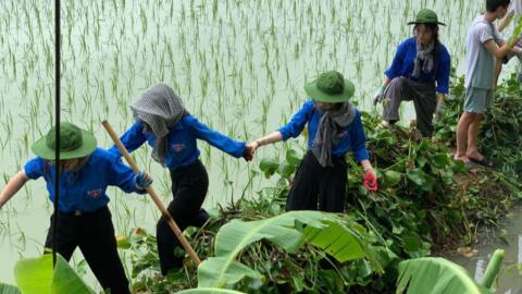 Phát huy tinh thần “Đâu cần thanh niên có, đâu khó có thanh niên”