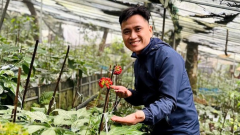 Kỹ sư bỏ công trường về vùng núi giúp bà con phát triển nguồn dược liệu