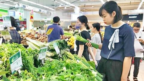 Hạn chế sản phẩm nhựa và túi ni lông: Cần hành lang pháp lý đủ mạnh