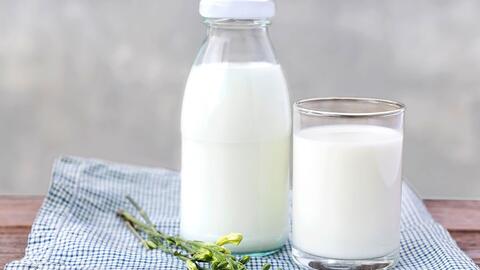 Doanh nghiệp xuất khẩu sữa sang Trung Quốc phải điều chỉnh quy trình sản xuất