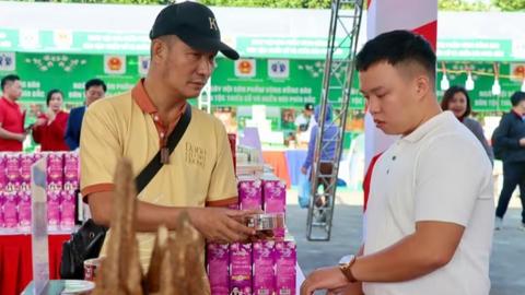 <a href="/kinh-doanh" title="Kinh doanh" rel="dofollow">Kinh doanh</a>