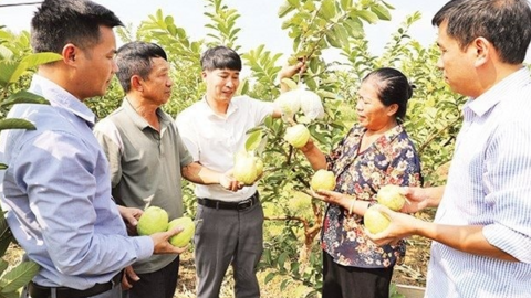 <a href="/kinh-doanh" title="Kinh doanh" rel="dofollow">Kinh doanh</a>