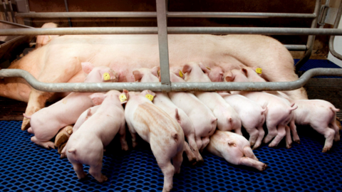 <a href="/kinh-doanh" title="Kinh doanh" rel="dofollow">Kinh doanh</a>