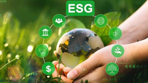 <a href="/kinh-doanh" title="Kinh doanh" rel="dofollow">Kinh doanh</a>