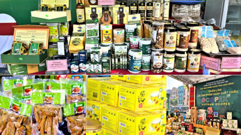 <a href="/kinh-doanh" title="Kinh doanh" rel="dofollow">Kinh doanh</a>