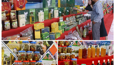 <a href="/kinh-doanh" title="Kinh doanh" rel="dofollow">Kinh doanh</a>