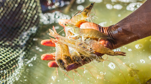 <a href="/kinh-doanh" title="Kinh doanh" rel="dofollow">Kinh doanh</a>