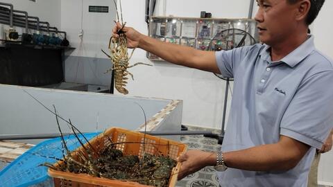 <a href="/kinh-doanh" title="Kinh doanh" rel="dofollow">Kinh doanh</a>