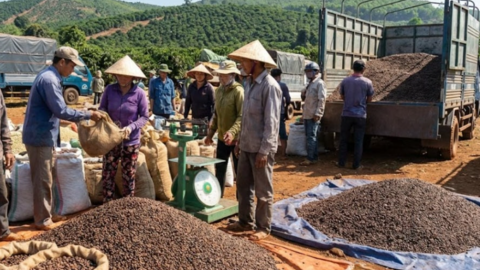 <a href="/kinh-doanh" title="Kinh doanh" rel="dofollow">Kinh doanh</a>