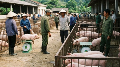 <a href="/kinh-doanh" title="Kinh doanh" rel="dofollow">Kinh doanh</a>