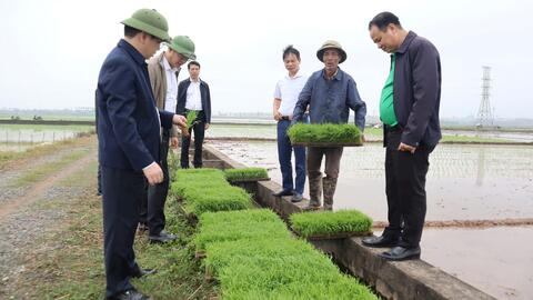 <a href="/kinh-doanh" title="Kinh doanh" rel="dofollow">Kinh doanh</a>