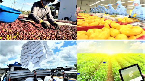 <a href="/kinh-doanh" title="Kinh doanh" rel="dofollow">Kinh doanh</a>