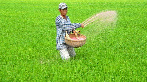 <a href="/kinh-doanh" title="Kinh doanh" rel="dofollow">Kinh doanh</a>