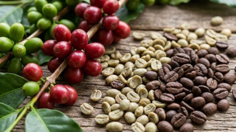 <a href="/kinh-doanh" title="Kinh doanh" rel="dofollow">Kinh doanh</a>