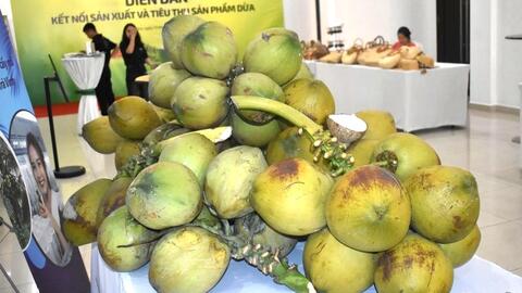 <a href="/kinh-doanh" title="Kinh doanh" rel="dofollow">Kinh doanh</a>