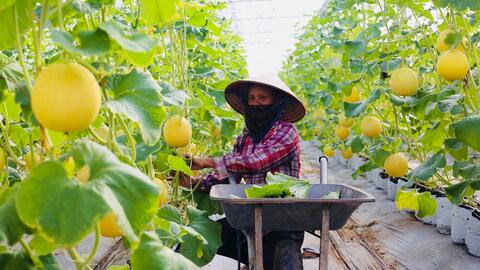 <a href="/kinh-doanh" title="Kinh doanh" rel="dofollow">Kinh doanh</a>