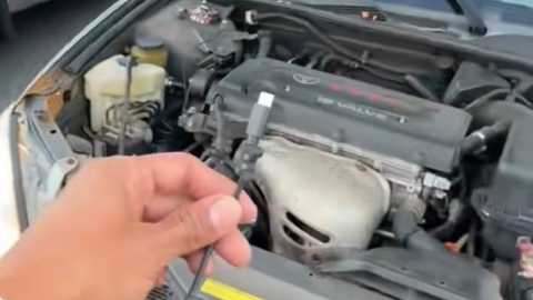 <a href="/so-hoa" title="Số hóa" rel="dofollow">Số hóa</a>