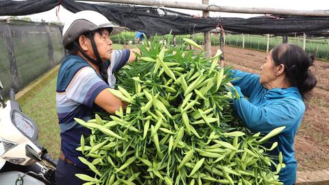 <a href="/kinh-doanh" title="Kinh doanh" rel="dofollow">Kinh doanh</a>