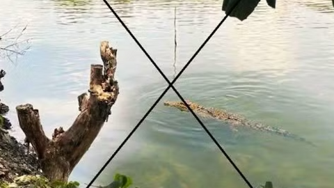 <a href="/so-hoa" title="Số hóa" rel="dofollow">Số hóa</a>