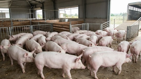 <a href="/kinh-doanh" title="Kinh doanh" rel="dofollow">Kinh doanh</a>