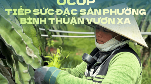 <a href="/kinh-doanh" title="Kinh doanh" rel="dofollow">Kinh doanh</a>