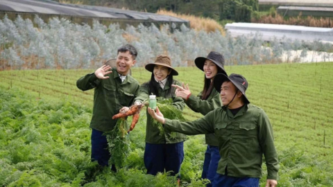 Hoa hậu Thùy Tiên cùng đồng phạm hầu tòa ngày 19/11